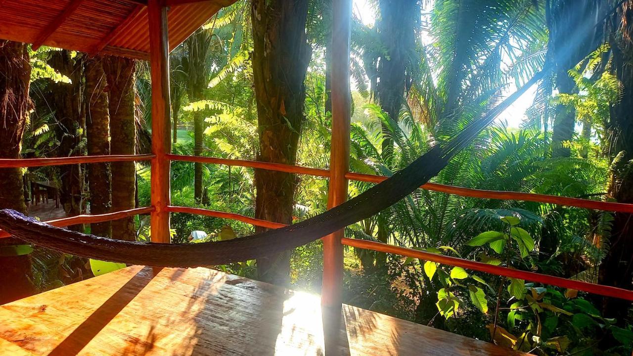 Encanto Lodge Drake Bay Exterior photo
